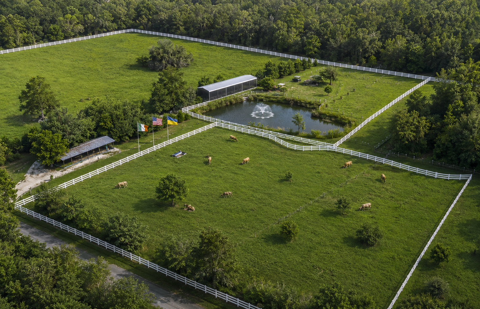 Aerial view of Irish Acres, its pastures, pond, and Jersey cows
